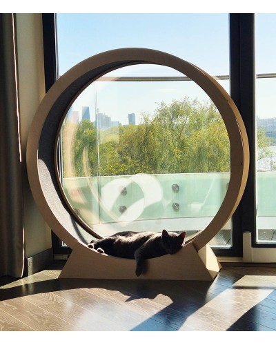 120 cm jooksuratas kassile, naturaalsest kasevineerist, vaipkattega, ABEC 7 laagritega