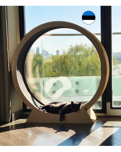 120 cm jooksuratas kassile, naturaalsest kasevineerist, vaipkattega, ABEC 7 laagritega