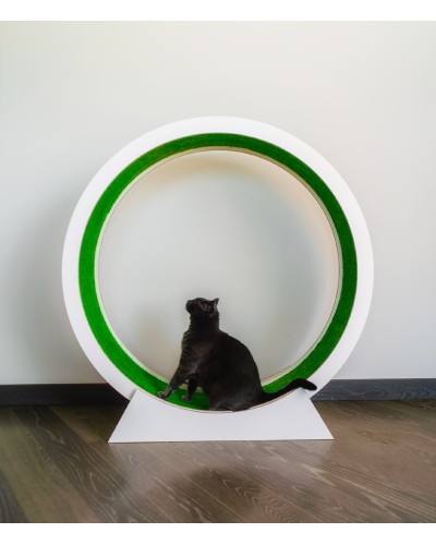 120 cm jooksuratas kassile, valgest lamineeritud vineerist, vaipkatte ja ABEC 7 laagritega