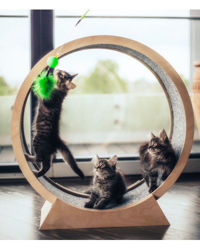 Kassipoegade jooksuratas, läbimõõt 70 cm 