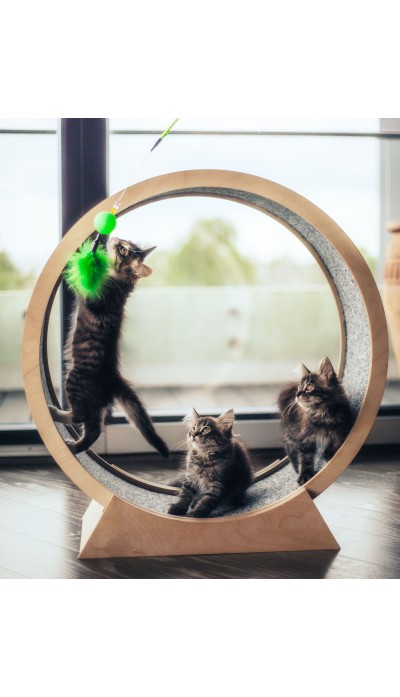 Kassipoegadele – läbimõõt 70 cm 