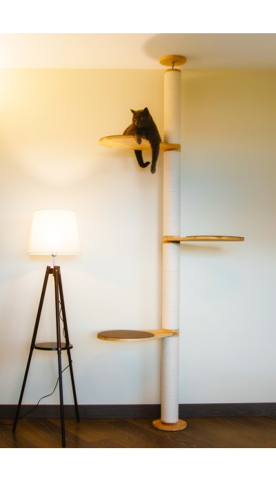 Seinale kinnitamist ei ole vaja - Lepp