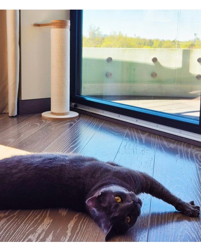 Kassi kraapimispuu — põrandal seisev, seinakinnitusega