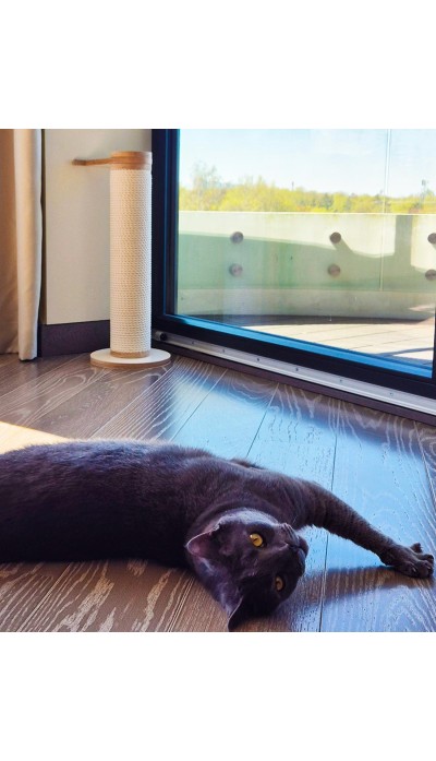 Põrandal seisev, seinakinnitusega — 66 cm